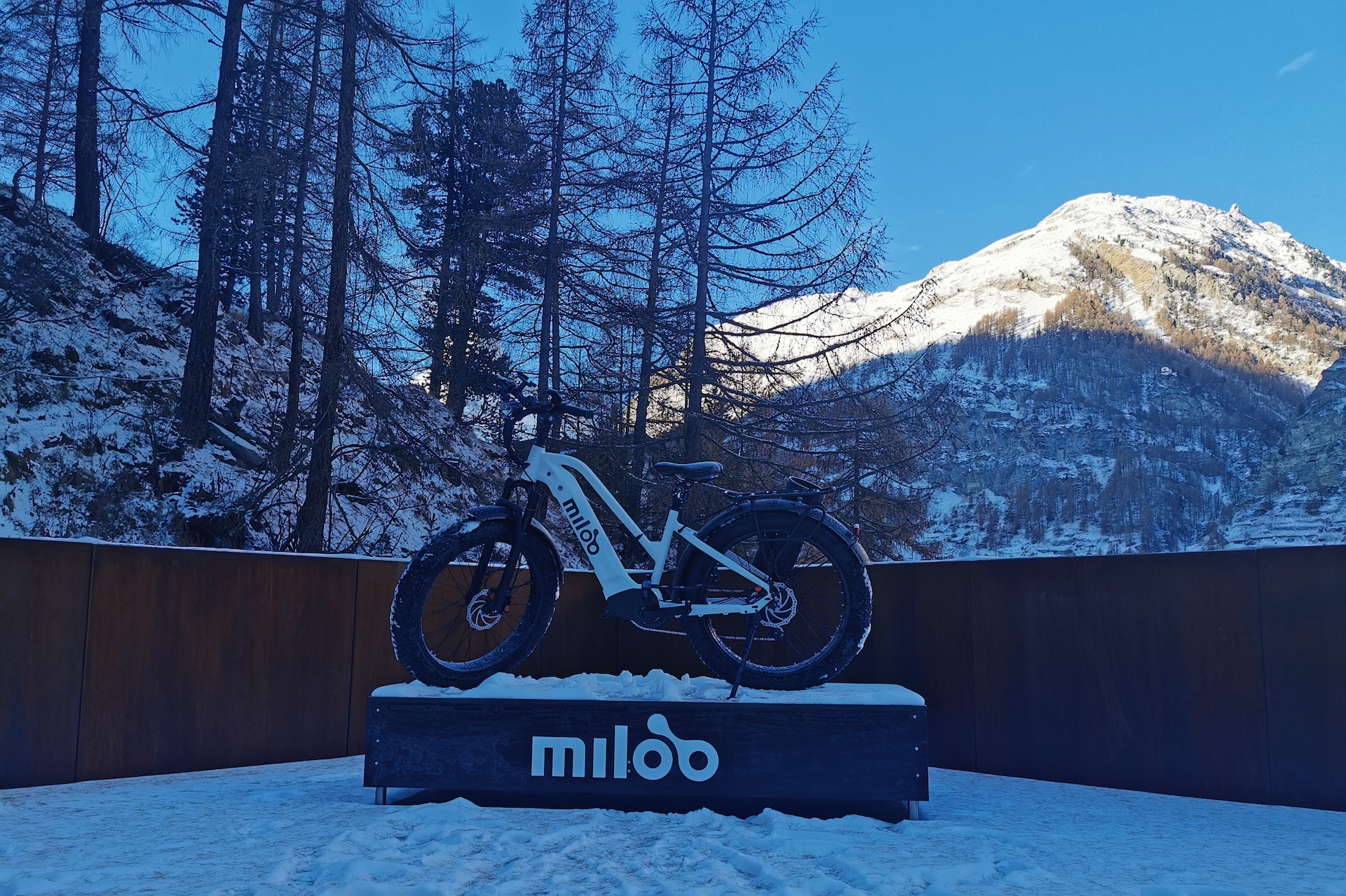Miloo Bike at CERVO
