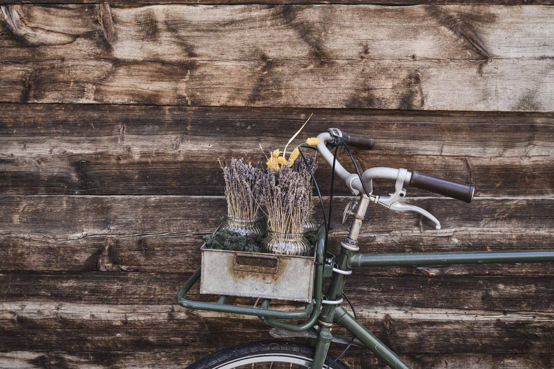 Fahrradkorb mit Trockenpflanzen